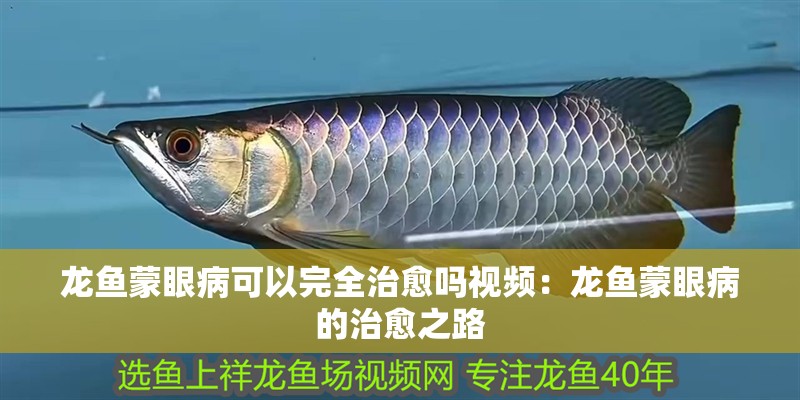 龍魚蒙眼病可以完全治愈嗎視頻：龍魚蒙眼病的治愈之路