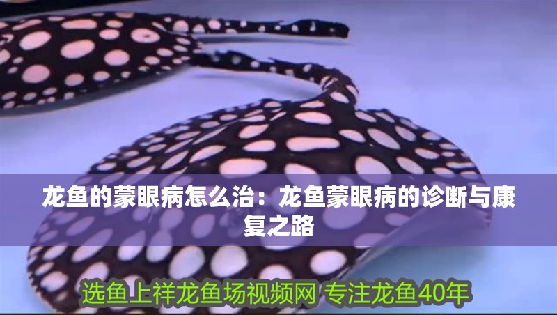 龍魚的蒙眼病怎么治：龍魚蒙眼病的診斷與康復之路
