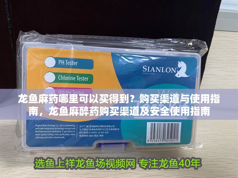 龍魚麻藥哪里可以買得到？購買渠道與使用指南，龍魚麻醉藥購買渠道及安全使用指南