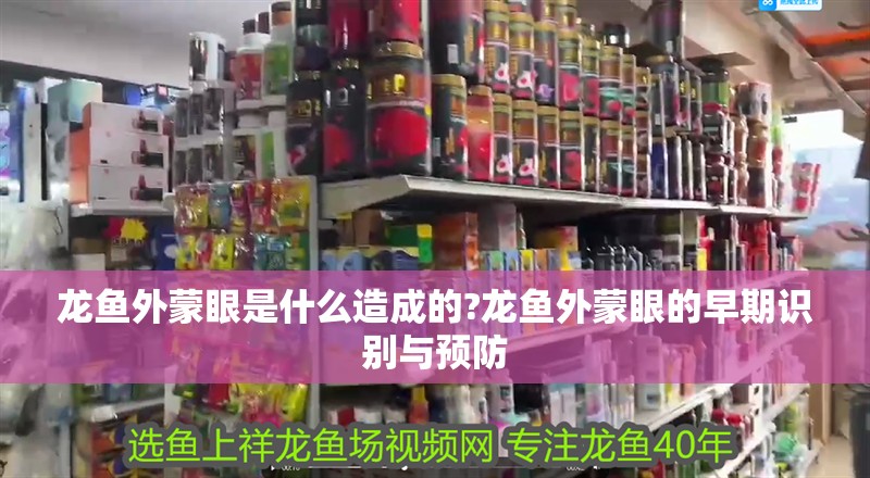 龍魚外蒙眼是什么造成的?龍魚外蒙眼的早期識(shí)別與預(yù)防