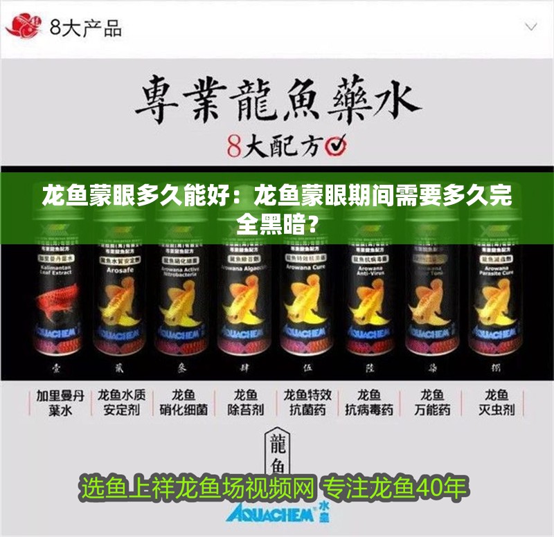 龍魚蒙眼多久能好：龍魚蒙眼期間需要多久完全黑暗？