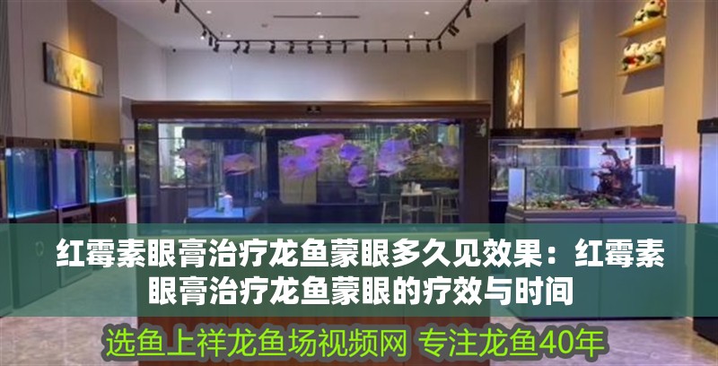 紅霉素眼膏治療龍魚蒙眼多久見效果：紅霉素眼膏治療龍魚蒙眼的療效與時間