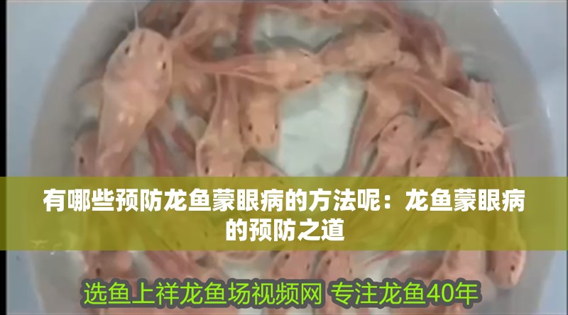 有哪些預(yù)防龍魚蒙眼病的方法呢：龍魚蒙眼病的預(yù)防之道