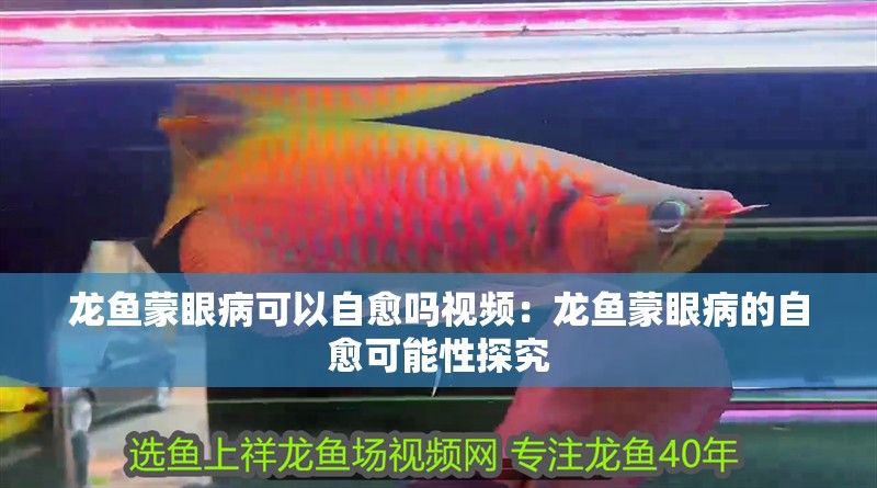 龍魚蒙眼病可以自愈嗎視頻：龍魚蒙眼病的自愈可能性探究