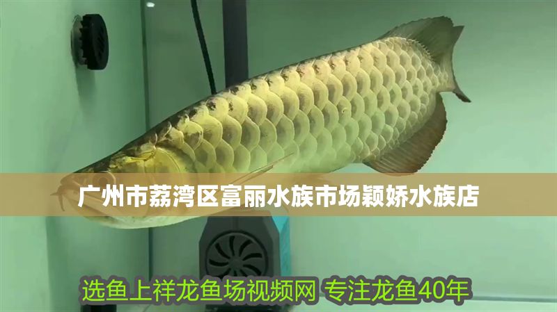 廣州市荔灣區(qū)富麗水族市場穎嬌水族店
