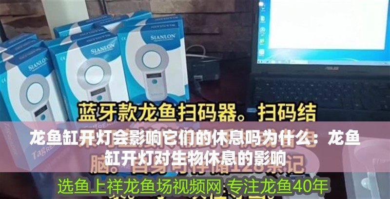 龍魚缸開燈會影響它們的休息嗎為什么：龍魚缸開燈對生物休息的影響