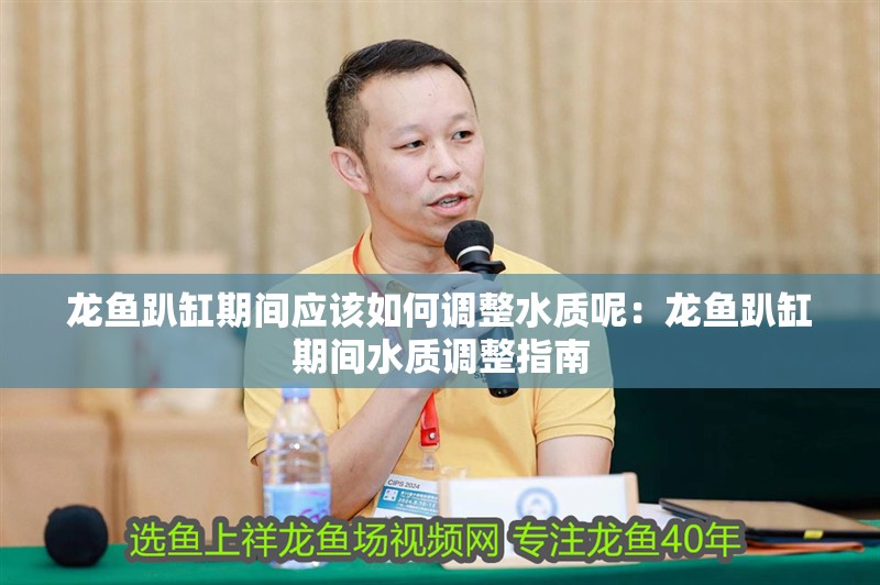 龍魚趴缸期間應該如何調整水質呢：龍魚趴缸期間水質調整指南