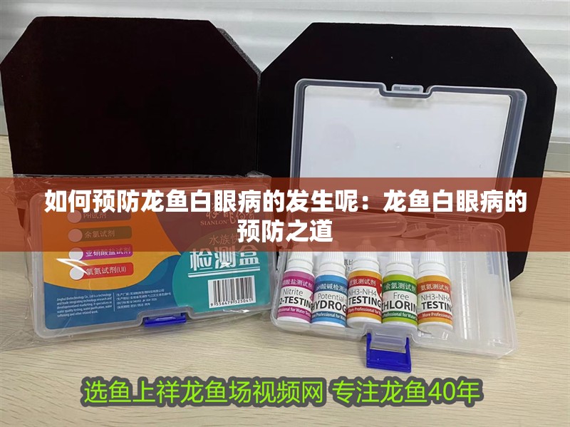 如何預(yù)防龍魚(yú)白眼病的發(fā)生呢：龍魚(yú)白眼病的預(yù)防之道
