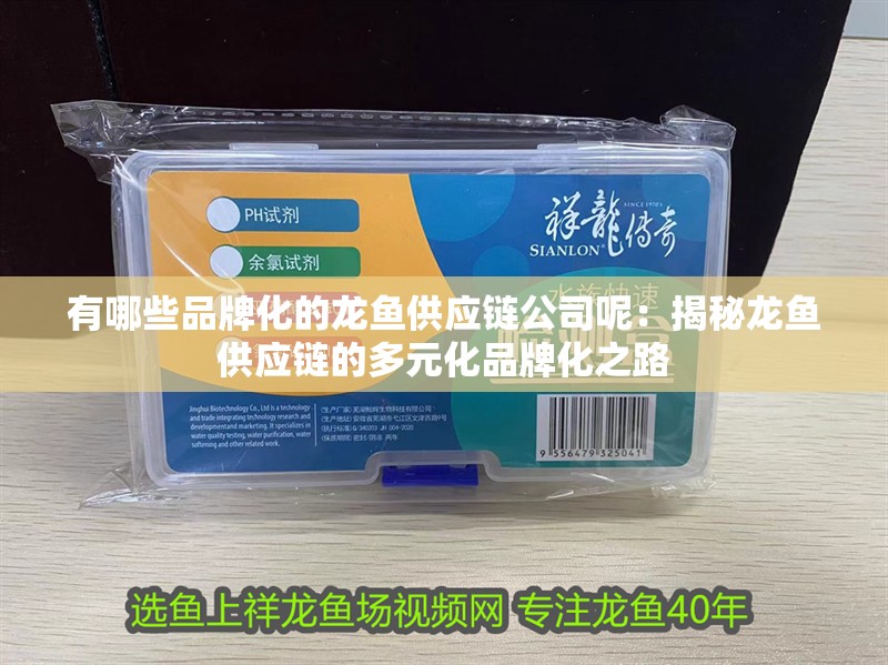 有哪些品牌化的龍魚供應(yīng)鏈公司呢：揭秘龍魚供應(yīng)鏈的多元化品牌化之路