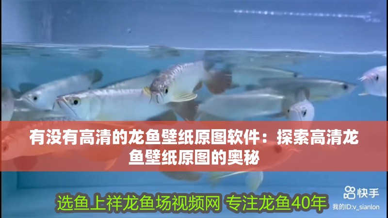 有沒有高清的龍魚壁紙?jiān)瓐D軟件：探索高清龍魚壁紙?jiān)瓐D的奧秘