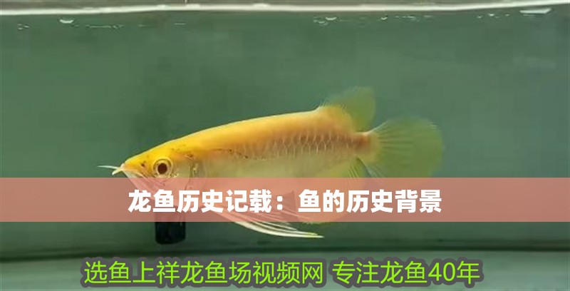 龍魚歷史記載：魚的歷史背景