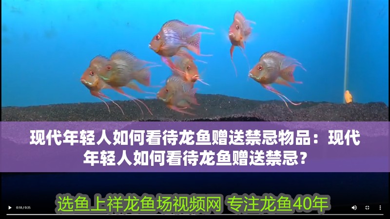 現代年輕人如何看待龍魚贈送禁忌物品：現代年輕人如何看待龍魚贈送禁忌？