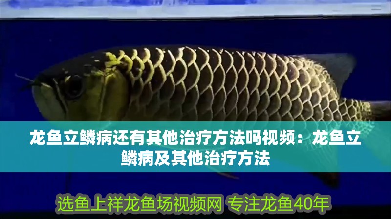 龍魚立鱗病還有其他治療方法嗎視頻：龍魚立鱗病及其他治療方法