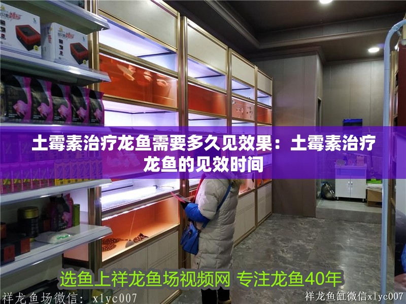 土霉素治療龍魚需要多久見效果：土霉素治療龍魚的見效時間