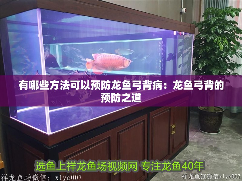 有哪些方法可以預(yù)防龍魚弓背病：龍魚弓背的預(yù)防之道