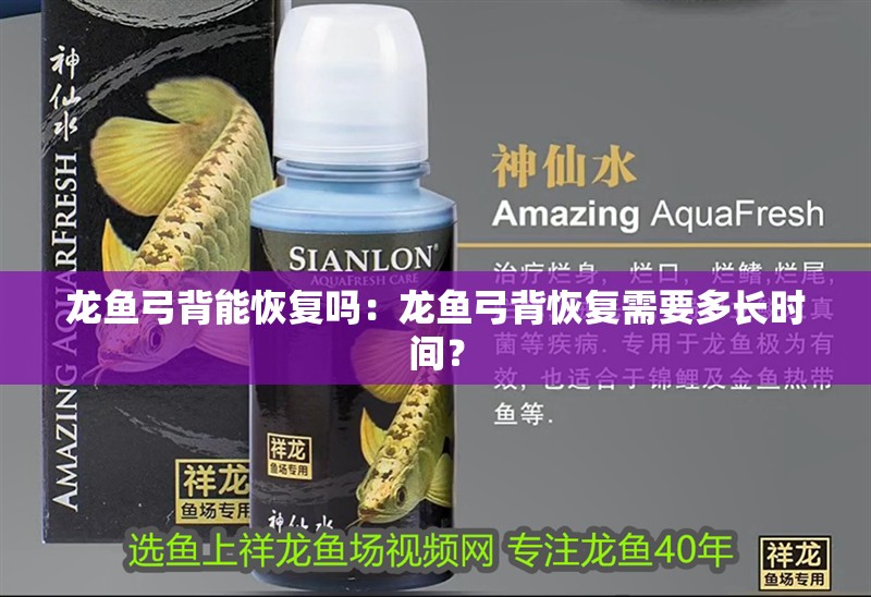 龍魚弓背能恢復嗎：龍魚弓背恢復需要多長時間？