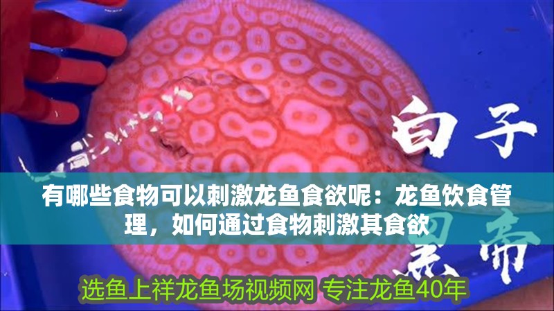 有哪些食物可以刺激龍魚食欲呢：龍魚飲食管理，如何通過食物刺激其食欲