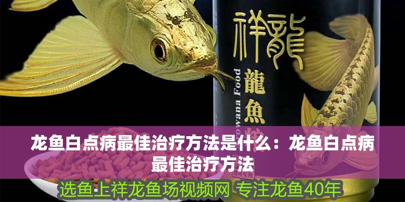 龍魚白點病最佳治療方法是什么：龍魚白點病最佳治療方法