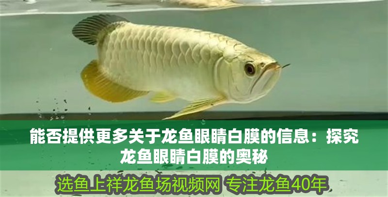 能否提供更多關(guān)于龍魚(yú)眼睛白膜的信息：探究龍魚(yú)眼睛白膜的奧秘