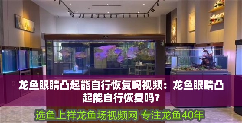 龍魚眼睛凸起能自行恢復嗎視頻：龍魚眼睛凸起能自行恢復嗎？