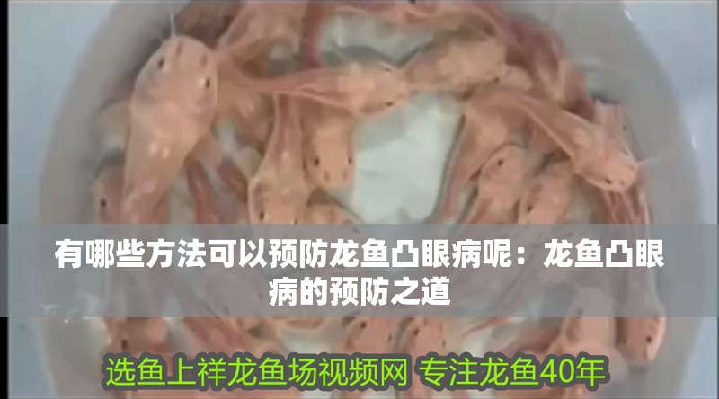 有哪些方法可以預防龍魚凸眼病呢：龍魚凸眼病的預防之道