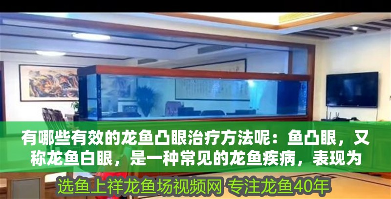 有哪些有效的龍魚凸眼治療方法呢：魚凸眼，又稱龍魚白眼，是一種常見的龍魚疾病，表現為眼球突出、眼睛紅腫、流淚等癥狀。對于患有龍魚凸眼的觀賞魚來說，及時采取有效的治療措施至關重要。本文將介紹幾種有效的龍魚凸眼治療方法，幫助龍魚恢復健康