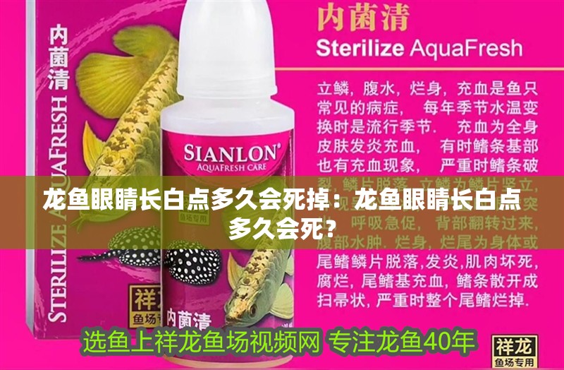 龍魚眼睛長白點多久會死掉：龍魚眼睛長白點多久會死？
