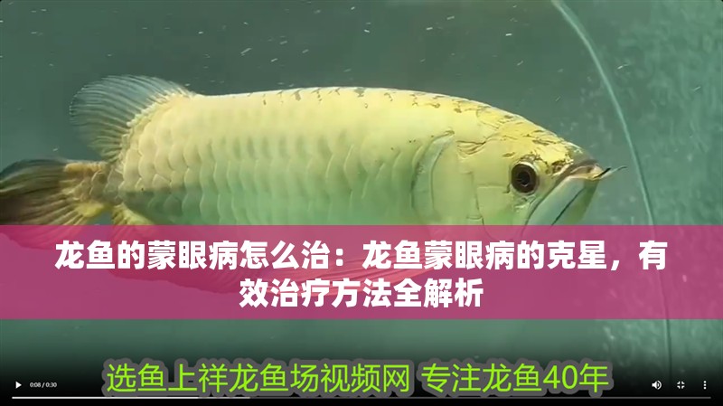 龍魚的蒙眼病怎么治：龍魚蒙眼病的克星，有效治療方法全解析