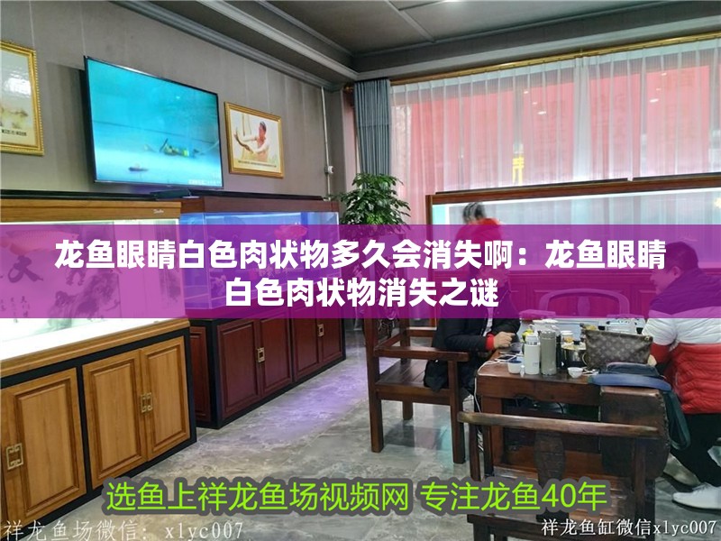 龍魚眼睛白色肉狀物多久會消失?。糊堲~眼睛白色肉狀物消失之謎