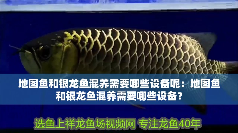 地圖魚和銀龍魚混養需要哪些設備呢：地圖魚和銀龍魚混養需要哪些設備？