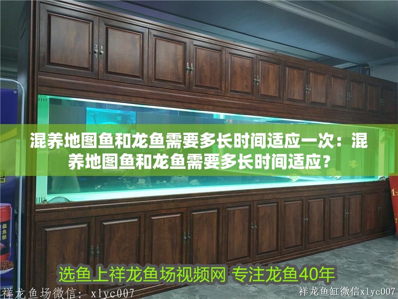 混養地圖魚和龍魚需要多長時間適應一次：混養地圖魚和龍魚需要多長時間適應？