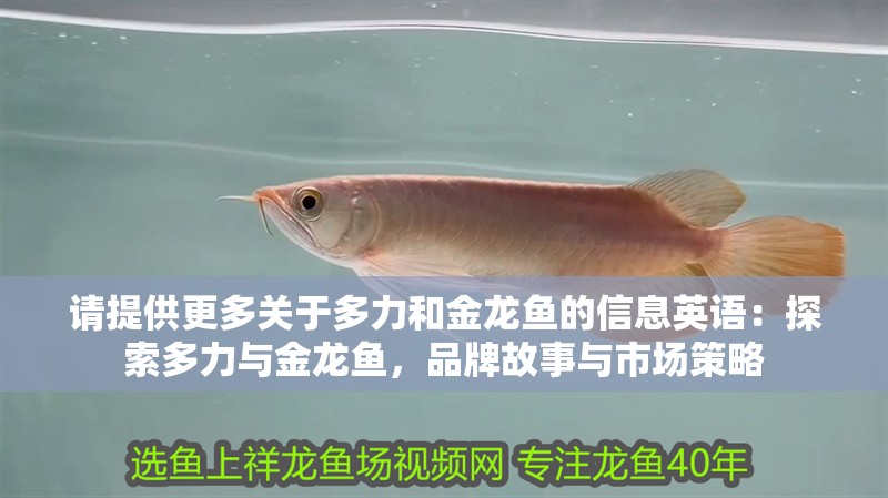 請?zhí)峁└嚓P(guān)于多力和金龍魚的信息英語：探索多力與金龍魚，品牌故事與市場策略