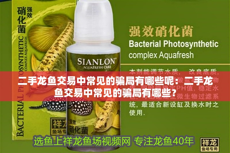 二手龍魚(yú)交易中常見(jiàn)的騙局有哪些呢：二手龍魚(yú)交易中常見(jiàn)的騙局有哪些？