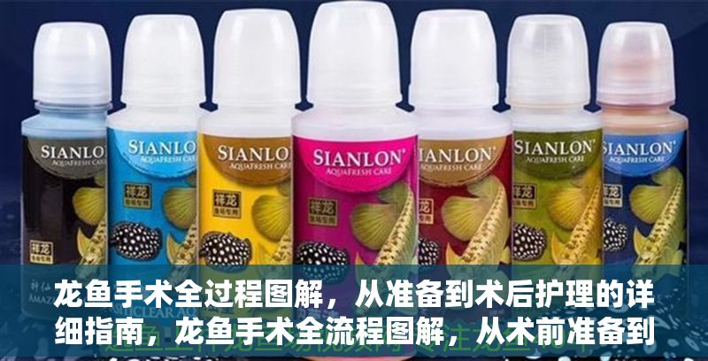 龍魚(yú)手術(shù)全過(guò)程圖解，從準(zhǔn)備到術(shù)后護(hù)理的詳細(xì)指南，龍魚(yú)手術(shù)全流程圖解，從術(shù)前準(zhǔn)備到術(shù)后護(hù)理的完整指南