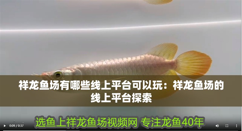 祥龍魚(yú)場(chǎng)有哪些線上平臺(tái)可以玩：祥龍魚(yú)場(chǎng)的線上平臺(tái)探索