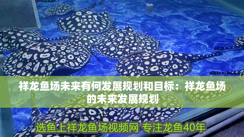 祥龍魚場未來有何發展規劃和目標：祥龍魚場的未來發展規劃