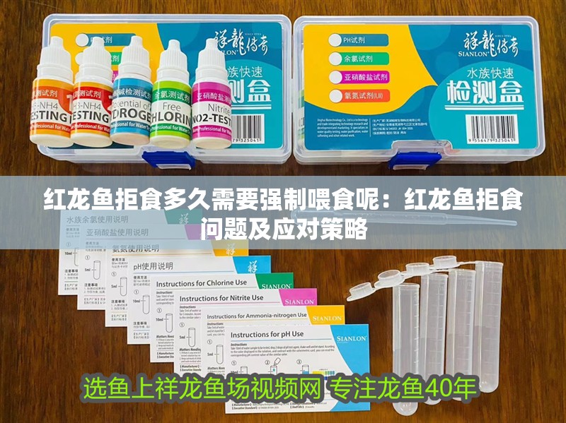 紅龍魚拒食多久需要強制喂食呢：紅龍魚拒食問題及應對策略