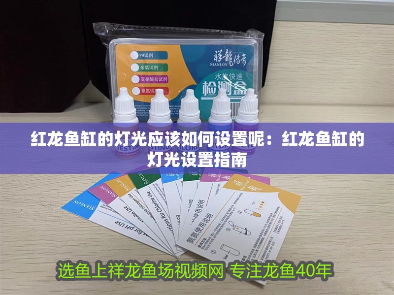 紅龍魚缸的燈光應該如何設置呢：紅龍魚缸的燈光設置指南