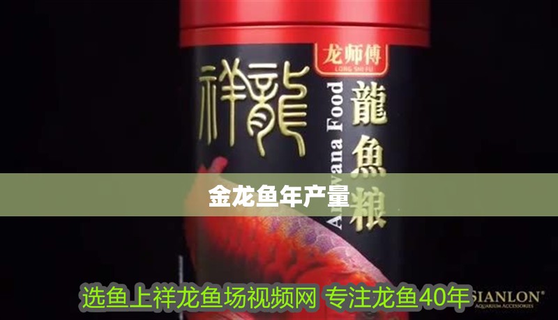 金龍魚年產量