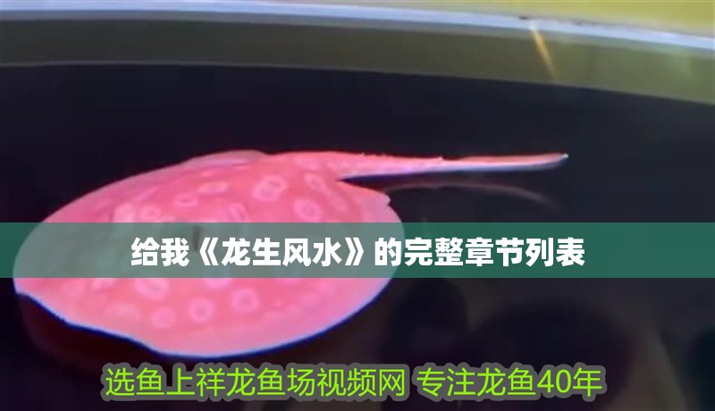 給我《龍生風水》的完整章節列表