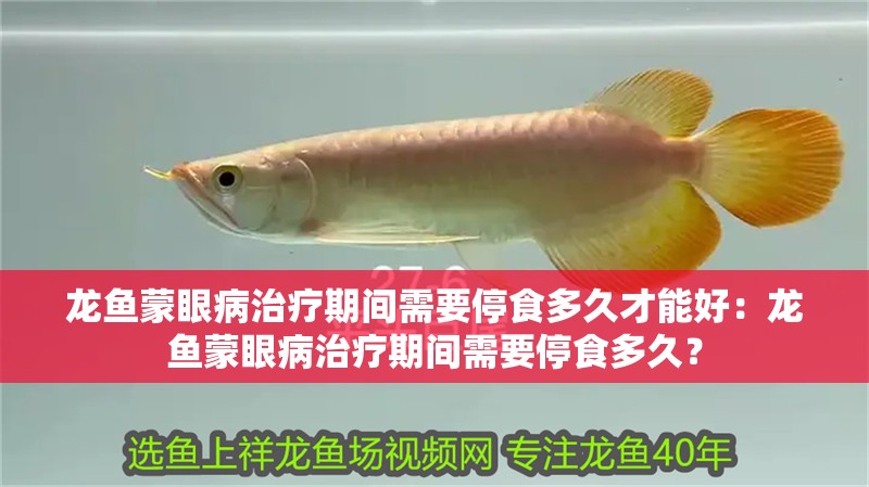 龍魚蒙眼病治療期間需要停食多久才能好：龍魚蒙眼病治療期間需要停食多久？