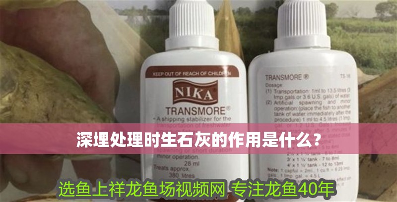 深埋處理時生石灰的作用是什么？