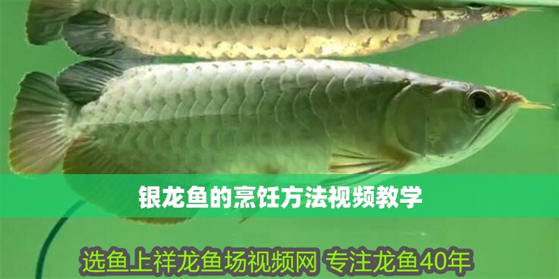 銀龍魚的烹飪方法視頻教學(xué)
