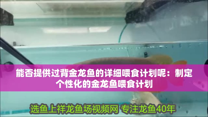 能否提供過背金龍魚的詳細(xì)喂食計(jì)劃呢：制定個(gè)性化的金龍魚喂食計(jì)劃