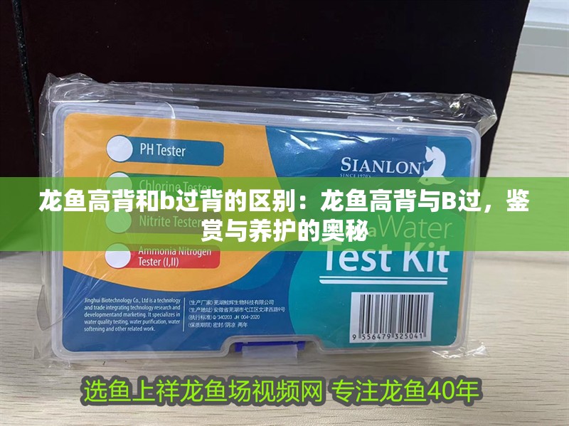 龍魚高背和b過背的區別：龍魚高背與B過，鑒賞與養護的奧秘