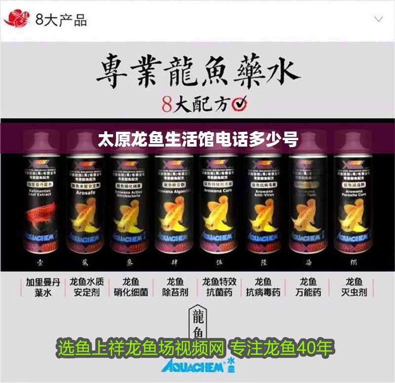 太原龍魚生活館電話多少號