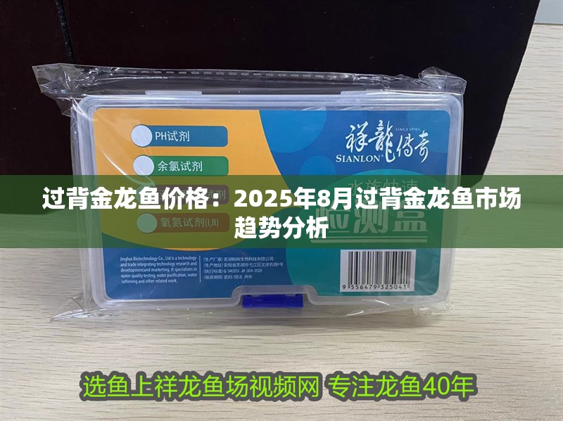過背金龍魚價格：2025年8月過背金龍魚市場趨勢分析