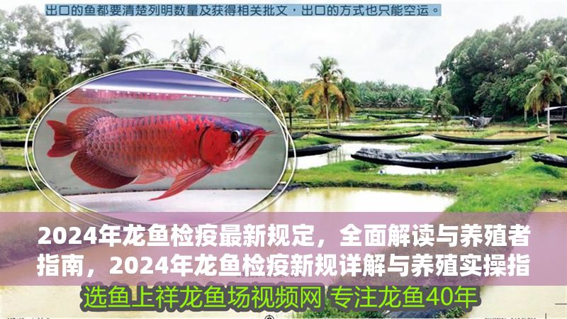 2024年龍魚檢疫最新規(guī)定，全面解讀與養(yǎng)殖者指南，2024年龍魚檢疫新規(guī)詳解與養(yǎng)殖實(shí)操指南