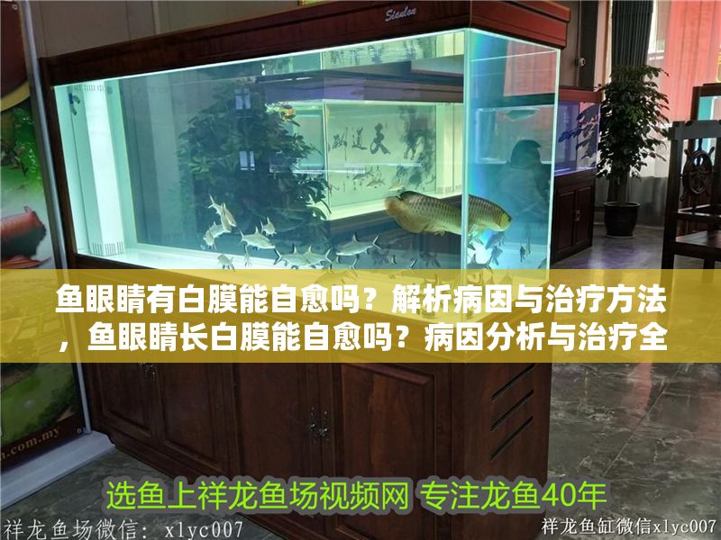 魚眼睛有白膜能自愈嗎？解析病因與治療方法，魚眼睛長白膜能自愈嗎？病因分析與治療全攻略