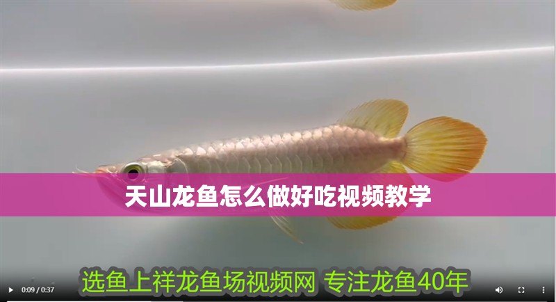 天山龍魚怎么做好吃視頻教學 天山龍魚怎么做好吃視頻教學 龍魚百科